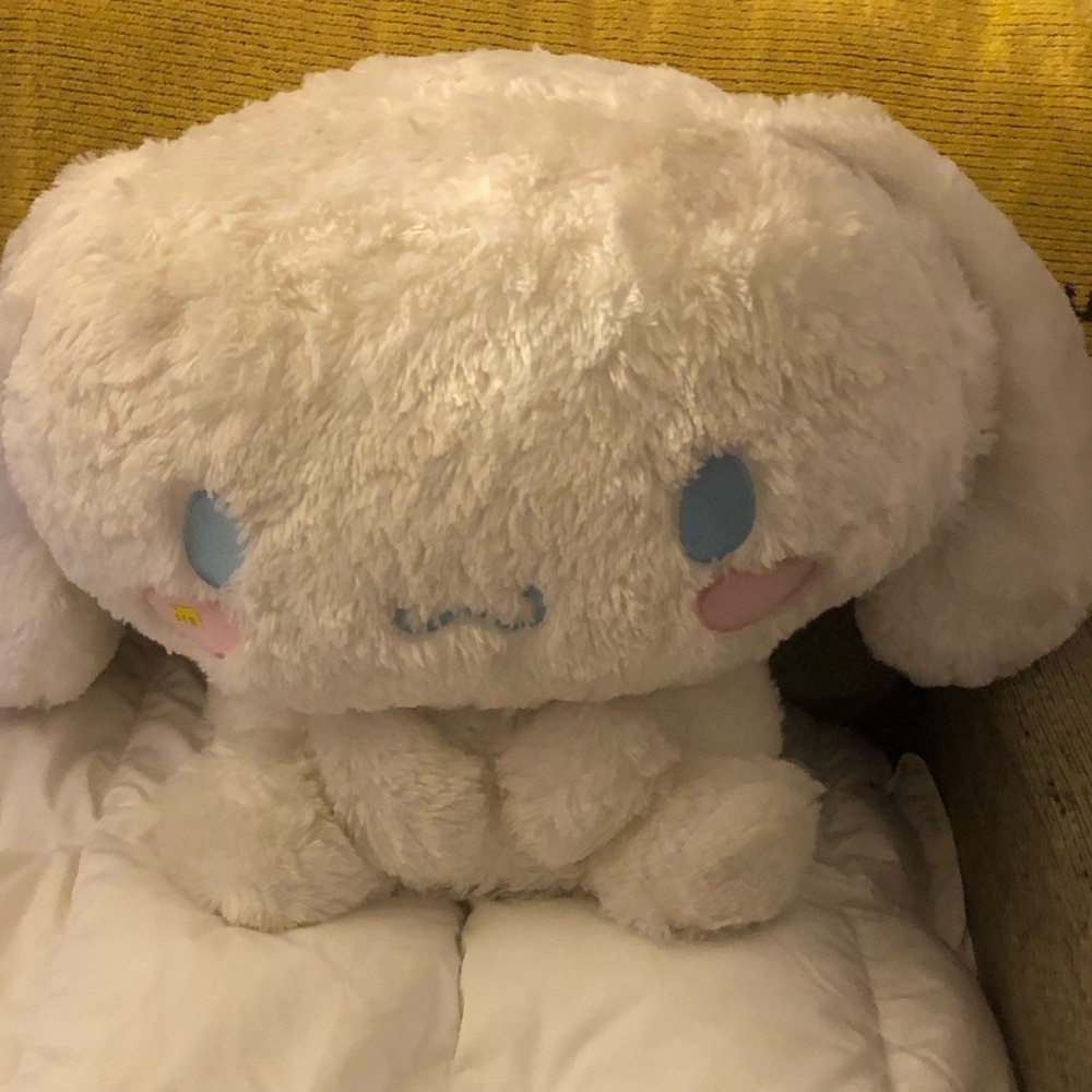 Sanrio Cinnamoroll Sanrio Plush Japan Authentic